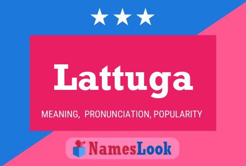 Lattuga 名字海报