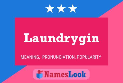 Laundrygin 名字海报