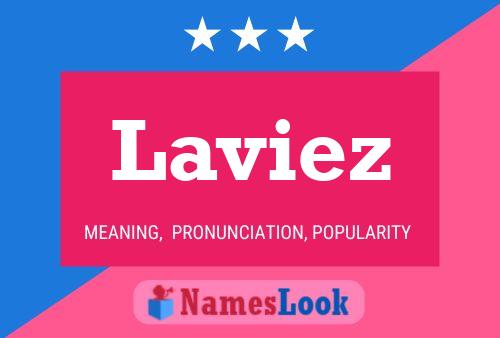 Laviez 名字海报