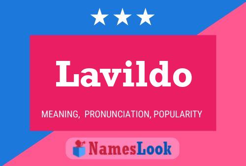 Lavildo 名字海报