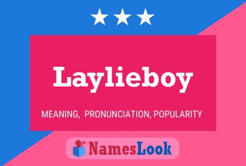 Laylieboy 名字海报