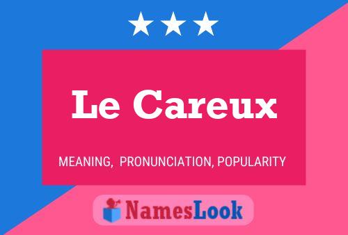 Le Careux 名字海报