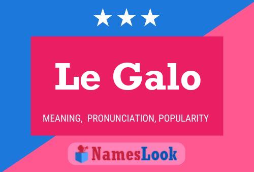 Le Galo 名字海报