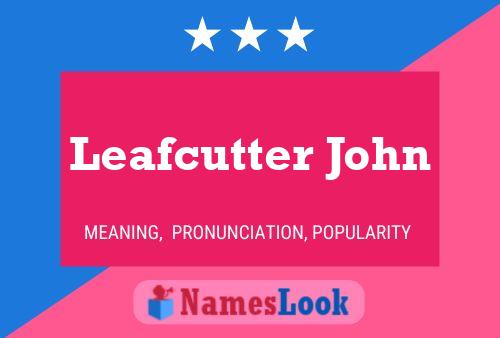 Leafcutter John 名字海报