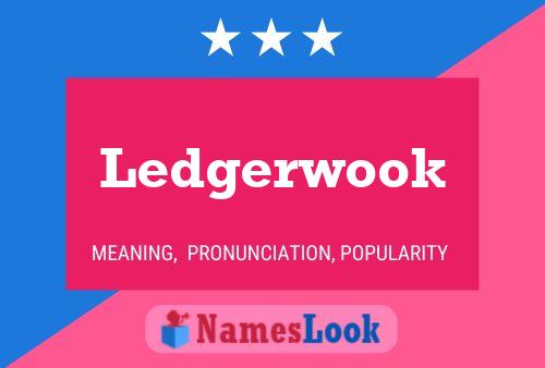 Ledgerwook 名字海报