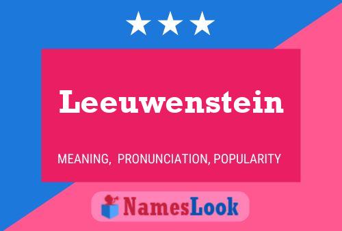 Leeuwenstein 名字海报