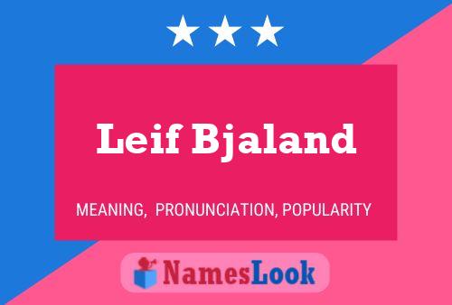 Leif Bjaland 名字海报