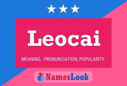 Leocai 名字海报