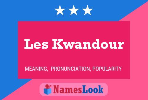 Les Kwandour 名字海报