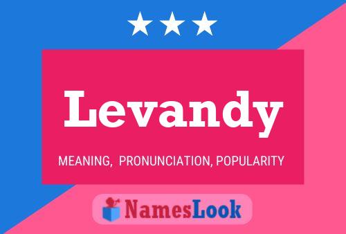 Levandy 名字海报