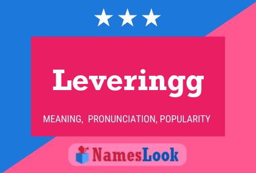 Leveringg 名字海报