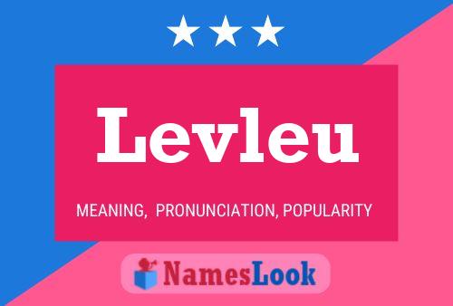 Levleu 名字海报