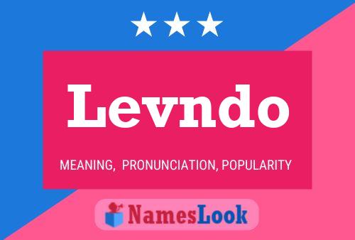 Levndo 名字海报