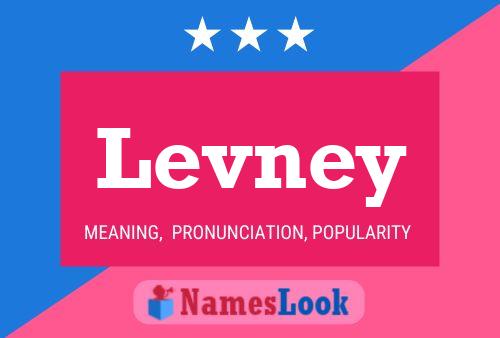 Levney 名字海报