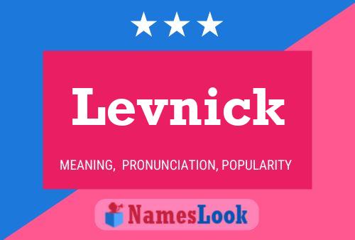 Levnick 名字海报