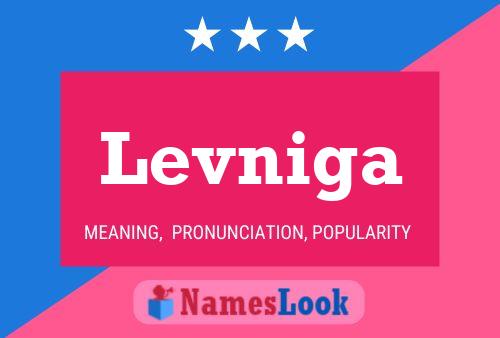 Levniga 名字海报