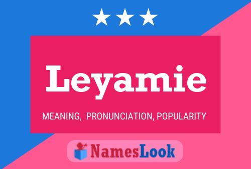 Leyamie 名字海报