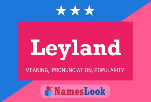 Leyland 名字海报