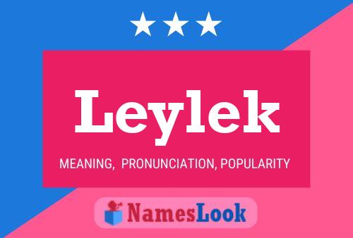 Leylek 名字海报