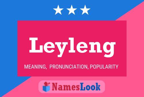 Leyleng 名字海报