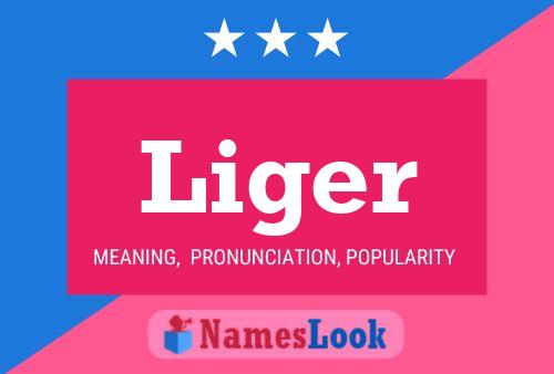 Liger 名字海报