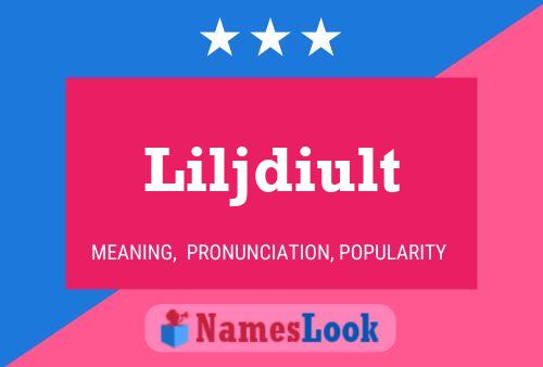 Liljdiult 名字海报