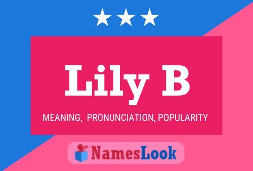 Lily B 名字海报