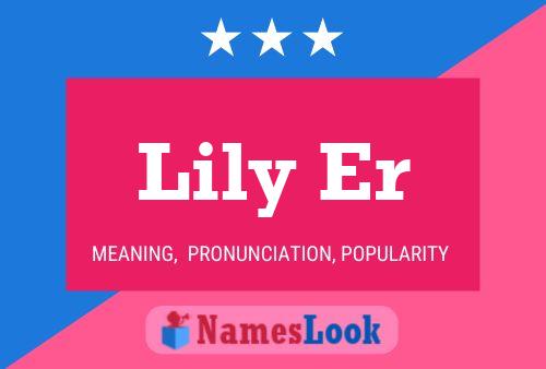 Lily Er 名字海报