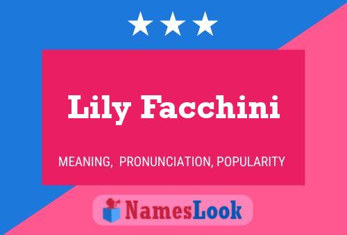 Lily Facchini 名字海报