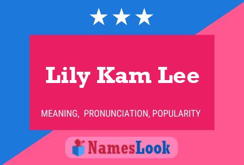 Lily Kam Lee 名字海报