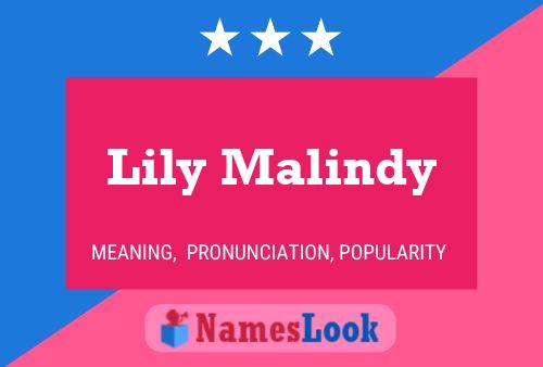 Lily Malindy 名字海报