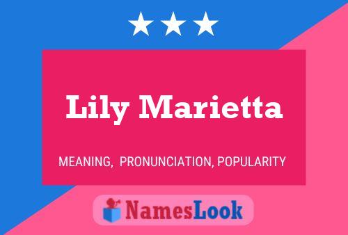 Lily Marietta 名字海报