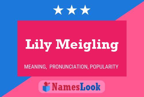 Lily Meigling 名字海报