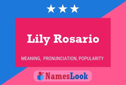 Lily Rosario 名字海报