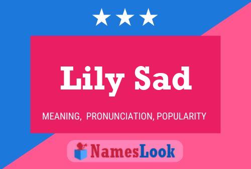 Lily Sad 名字海报