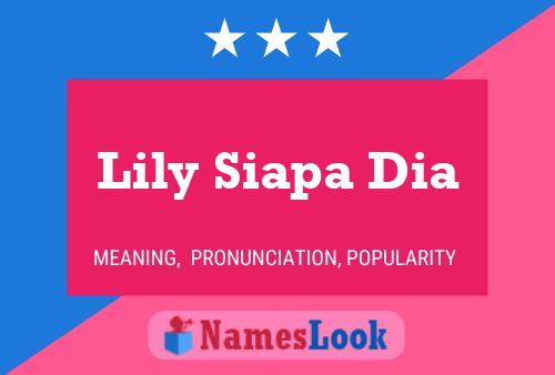 Lily Siapa Dia 名字海报