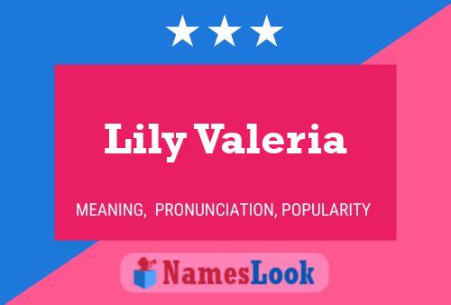 Lily Valeria 名字海报