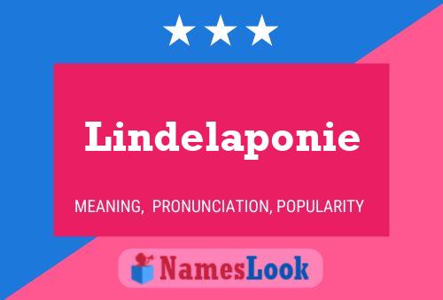 Lindelaponie 名字海报