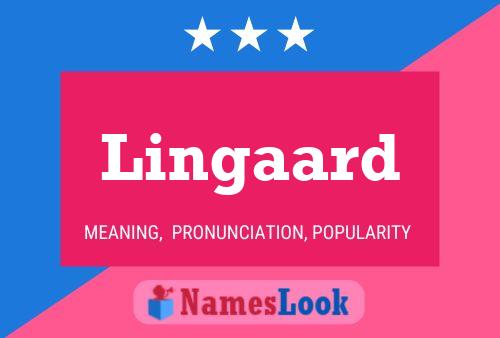 Lingaard 名字海报