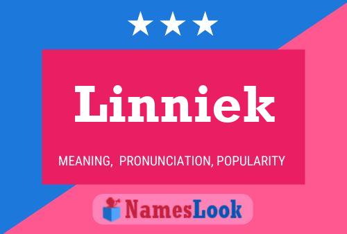 Linniek 名字海报