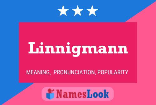 Linnigmann 名字海报