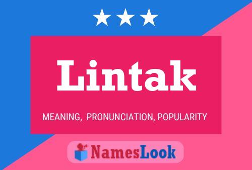 Lintak 名字海报