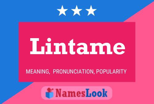 Lintame 名字海报