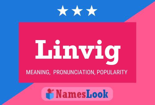 Linvig 名字海报