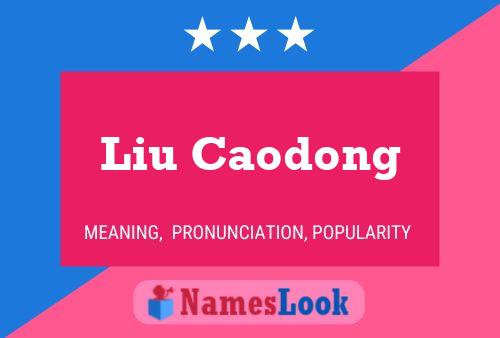 Liu Caodong 名字海报