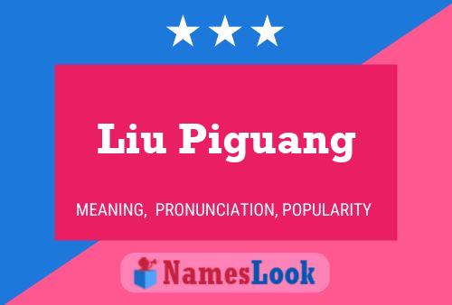 Liu Piguang 名字海报