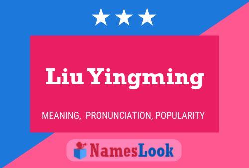 Liu Yingming 名字海报