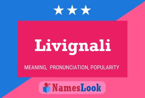 Livignali 名字海报