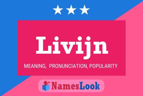 Livijn 名字海报