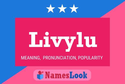 Livylu 名字海报